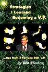 book: Strategies Becoming a VP